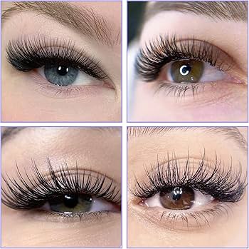 Eyebrow & Lash Services